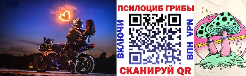 гидра онион  Невельск  Галлюциногенные грибы GOLDEN TEACHER 
